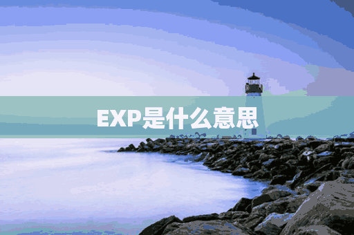 EXP是什么意思